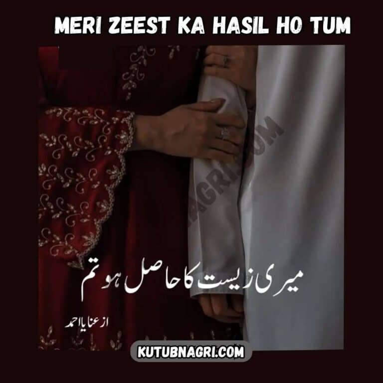 Meri Zeest Ka Hasil Ho Tum by Anaya Ahmed Complete PDF