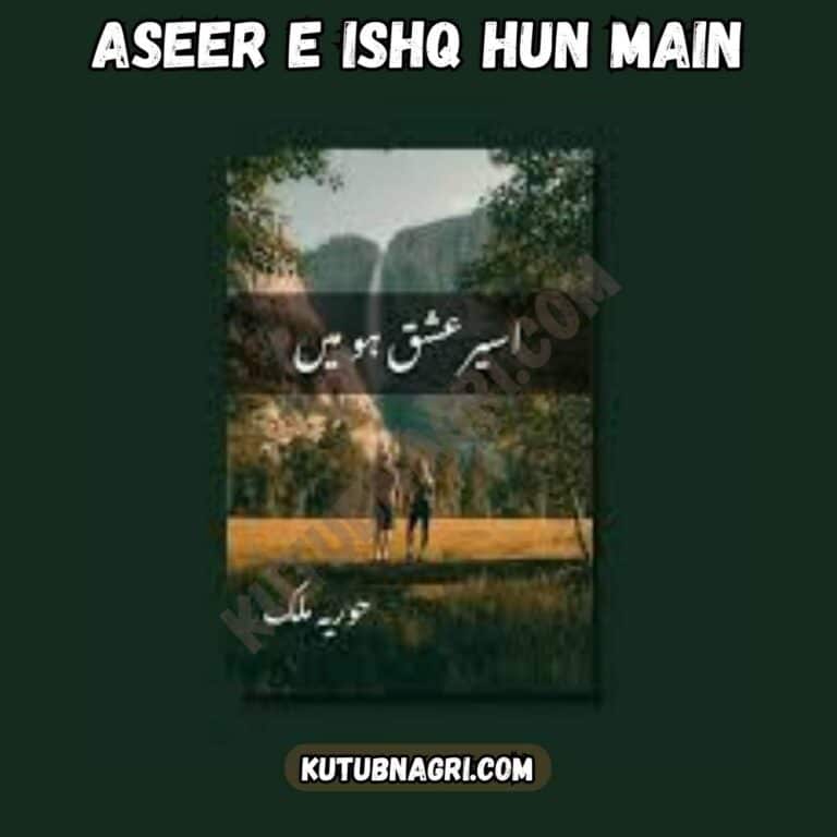 Aseer e Ishq Hun Main