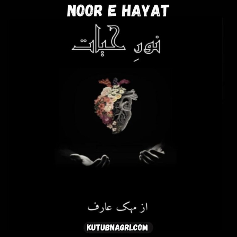 Noor E Hayat