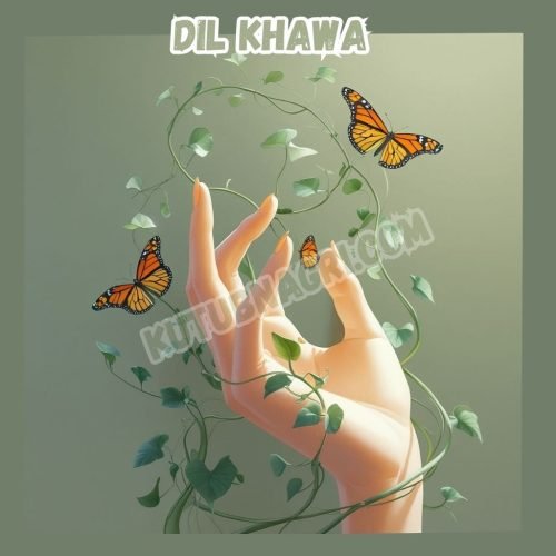 Dil Khawa