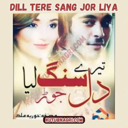 Dill Tere Sang Jor Liya Novel.