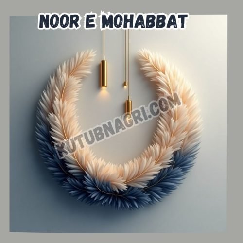 Noor E Mohabbat by Rimsha Hussain.